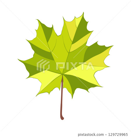 Hand-drawn green maple leaf  129729965