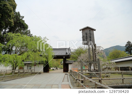 General gate 129730420