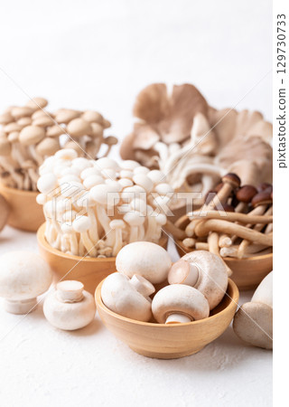 Champignon mushroom, Yanagi mushroom, Shimeji mushroom, oyster mushroom and King oyster mushroom Champignon mushroom, Yanagi mushroom, Shimeji mushroom, oyster mushroom and King oyster mushroom 129730733