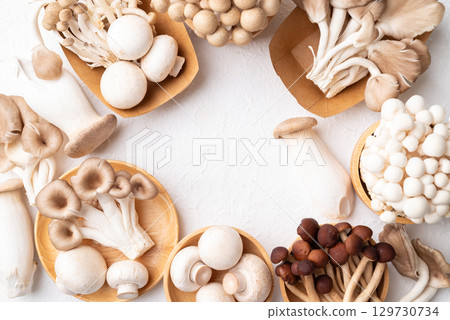 Champignon mushroom, Yanagi mushroom, Shimeji mushroom, oyster mushroom and King oyster mushroom Champignon mushroom, Yanagi mushroom, Shimeji mushroom, oyster mushroom and King oyster mushroom 129730734