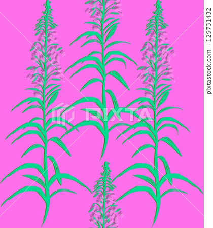 Fireweed, Ivan-tea, Epil bium - meadow grass, flower, honey plant. Seamless textile pattern on a bright pink background. Floral pattern for summer dress fabrics, viscose, silk 129731432