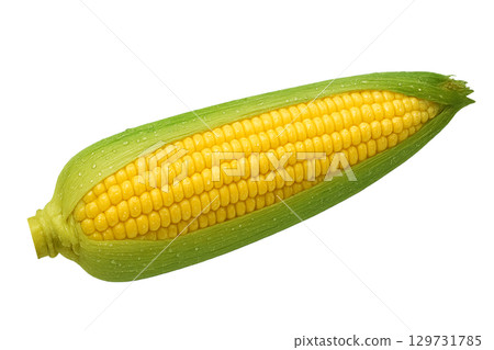玉米 玉米 129731785