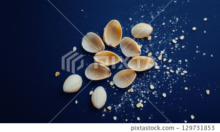 seashells and sea salt on dark blue background 129731853