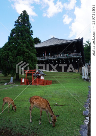 內樂風景 129732652