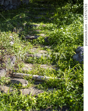 生長著植物的室外樓梯 生長著植物的室外樓梯 129732783