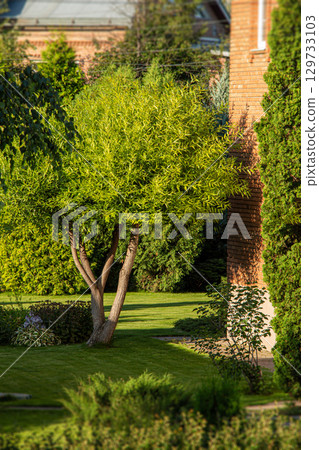 Backyard of a private house 129733103