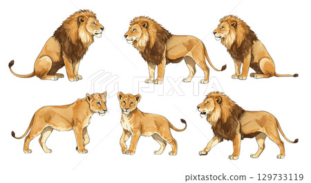 獅子剪貼畫 獅子剪貼畫 129733119