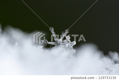 Macro snowflakes showing intricate winter details on dark background Macro snowflakes showing intricate winter details on dark background 129733130