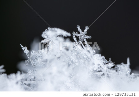 Macro snowflakes showing intricate winter details on dark background Macro snowflakes showing intricate winter details on dark background 129733131