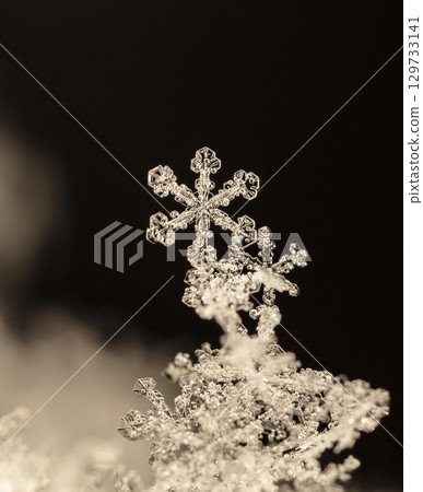 Macro snowflakes showing intricate winter details on dark background 129733141