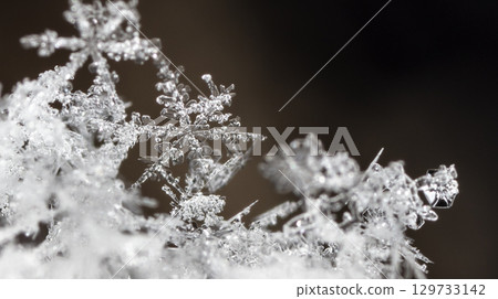 Macro snowflakes showing intricate winter details on dark background Macro snowflakes showing intricate winter details on dark background 129733142