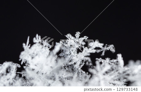 Macro snowflakes showing intricate winter details on dark background Macro snowflakes showing intricate winter details on dark background 129733148