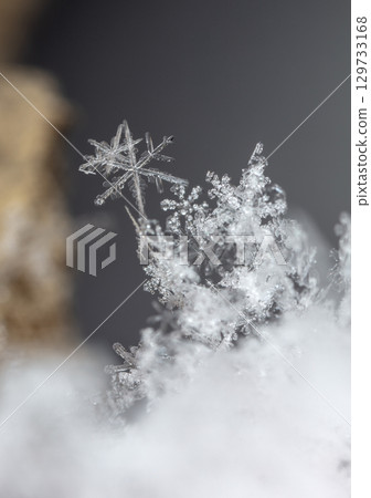 Macro snowflakes showing intricate winter details on dark background Macro snowflakes showing intricate winter details on dark background 129733168