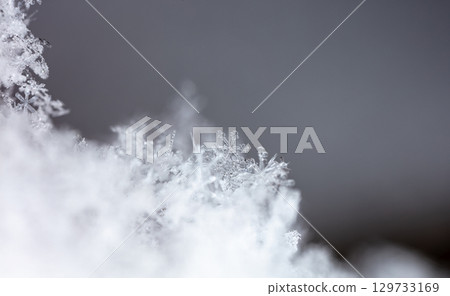 Macro snowflakes showing intricate winter details on dark background Macro snowflakes showing intricate winter details on dark background 129733169
