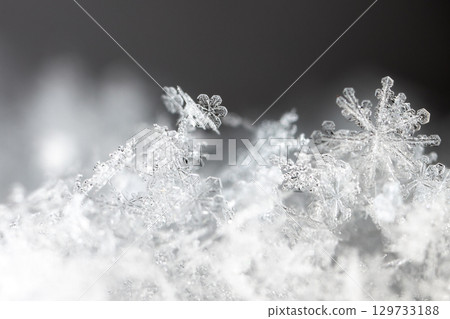 Macro snowflakes showing intricate winter details on dark background Macro snowflakes showing intricate winter details on dark background 129733188
