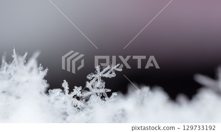 Macro snowflakes showing intricate winter details on dark background 129733192