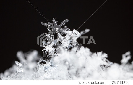 Macro snowflakes showing intricate winter details on dark background Macro snowflakes showing intricate winter details on dark background 129733203