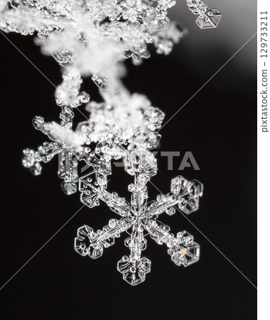 Macro snowflakes showing intricate winter details on dark background Macro snowflakes showing intricate winter details on dark background 129733211