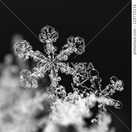 Macro snowflakes showing intricate winter details on dark background Macro snowflakes showing intricate winter details on dark background 129733216