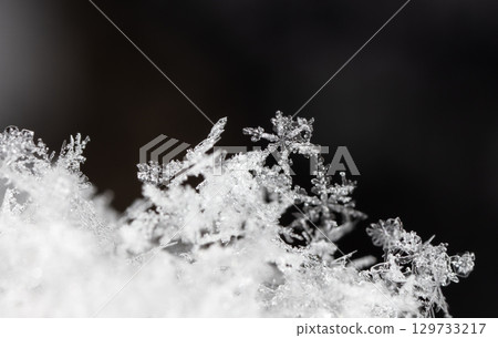 Macro snowflakes showing intricate winter details on dark background Macro snowflakes showing intricate winter details on dark background 129733217