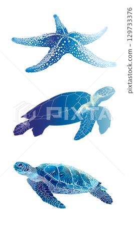 Colorful marine life illustration featuring starfish and two sea turtles, showcasing beauty of ocean biodiversity and importance of marine life 129733376