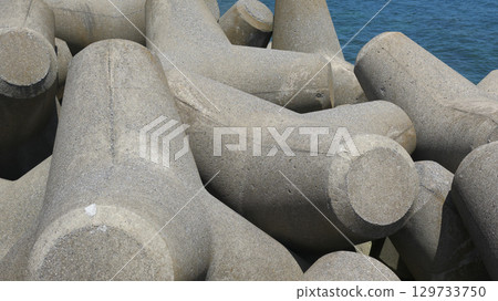 Tetrapot和大海 129733750
