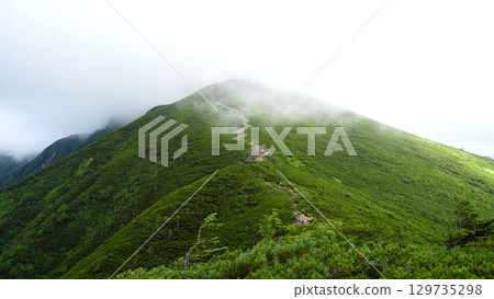 Nishikotaka Nishikotaka 129735298