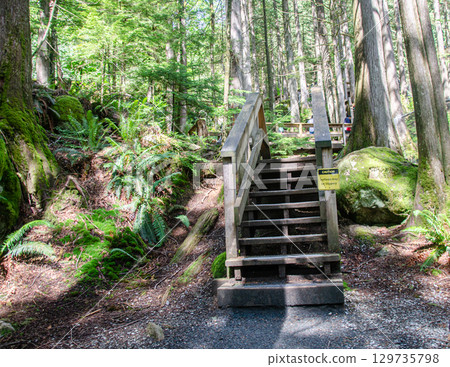 Uphill pathway leading to  the Cascade Falls located Northeast of Mission, British Columbia, Canada 129735798