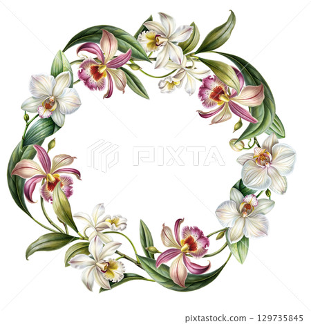 Orchidea flower circle wreath frame. Pink and white exotic tropical floral background for cord or invite  129735845