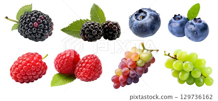 Collection of berry berries family fruits, blackberry, blueberry, raspberry, grape on transparent background cutout, PNG file. Mockup template for artwork design Collection of berry berries family fruits, blackberry, blueberry, raspberry, grape on transparent background cutout, PNG file. Mockup template for artwork design 129736162
