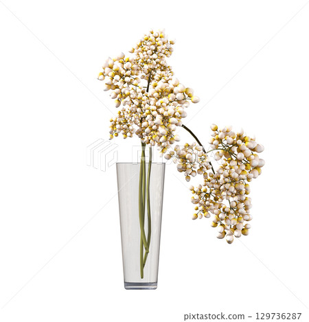 decorative flower in a pot isolate on a transparent background, 3D illustration, cg render 129736287