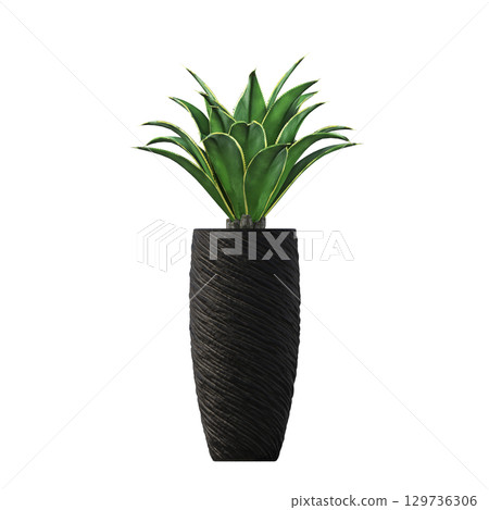 decorative flower in a pot isolate on a transparent background, 3D illustration, cg render 129736306