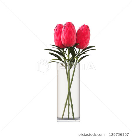 decorative flower in a pot isolate on a transparent background, 3D illustration, cg render decorative flower in a pot isolate on a transparent background, 3D illustration, cg render 129736307