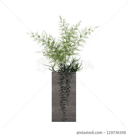 decorative flower in a pot isolate on a transparent background, 3D illustration, cg render 129736308