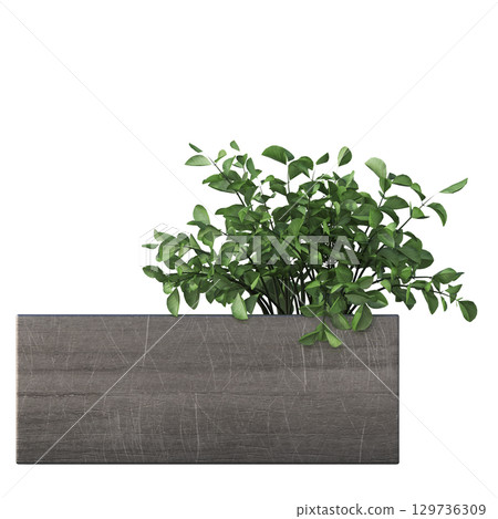 decorative flower in a pot isolate on a transparent background, 3D illustration, cg render decorative flower in a pot isolate on a transparent background, 3D illustration, cg render 129736309