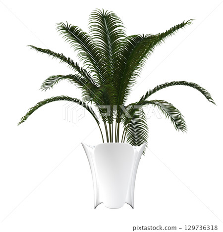 decorative flower in a pot isolate on a transparent background, 3D illustration, cg render decorative flower in a pot isolate on a transparent background, 3D illustration, cg render 129736318