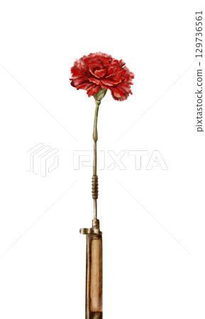A vintage red carnation flower inside a rifle barrel,symbolizing the peaceful revolution and overthrow of dictatorship in Portugal (1974).Hand drawn watercolor illustration isolated on white A vintage red carnation flower inside a rifle barrel,symbolizing the peaceful revolution and overthrow of dictatorship in Portugal (1974).Hand drawn watercolor illustration isolated on white 129736561