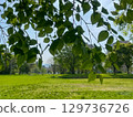 從樹蔭下望去，新綠的公園和藍天 129736726