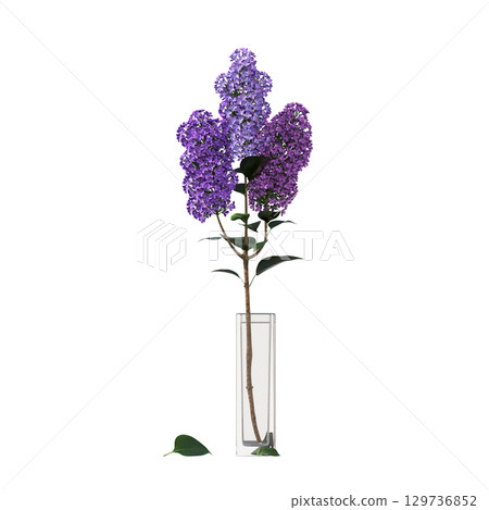 decorative flower in a pot isolate on a transparent background, 3D illustration, cg render decorative flower in a pot isolate on a transparent background, 3D illustration, cg render 129736852