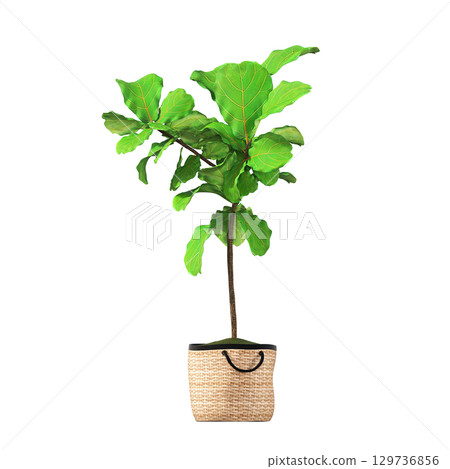 decorative flower in a pot isolate on a transparent background, 3D illustration, cg render 129736856