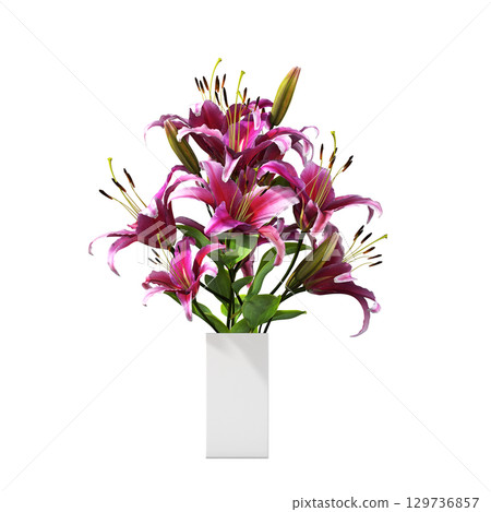 decorative flower in a pot isolate on a transparent background, 3D illustration, cg render 129736857