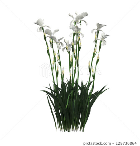 decorative flower in a pot isolate on a transparent background, 3D illustration, cg render 129736864