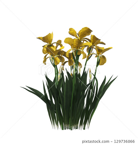 decorative flower in a pot isolate on a transparent background, 3D illustration, cg render 129736866