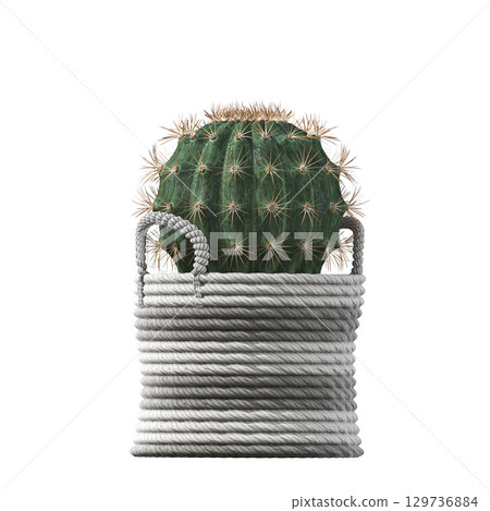 decorative flower in a pot isolate on a transparent background, 3D illustration, cg render 129736884