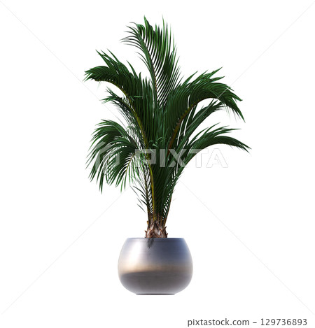 decorative flower in a pot isolate on a transparent background, 3D illustration, cg render decorative flower in a pot isolate on a transparent background, 3D illustration, cg render 129736893