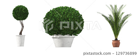 decorative flower in a pot isolate on a transparent background, 3D illustration, cg render 129736899