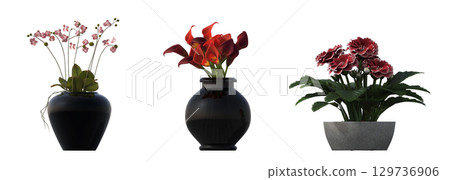 decorative flower in a pot isolate on a transparent background, 3D illustration, cg render 129736906