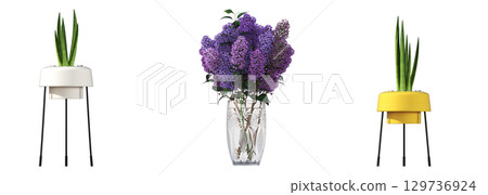 decorative flower in a pot isolate on a transparent background, 3D illustration, cg render 129736924