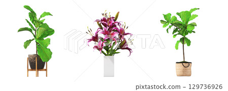 decorative flower in a pot isolate on a transparent background, 3D illustration, cg render 129736926
