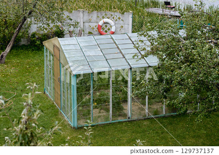 Greenhouse surrounded by lush greenery in a serene garden setting during daylight hours 129737137